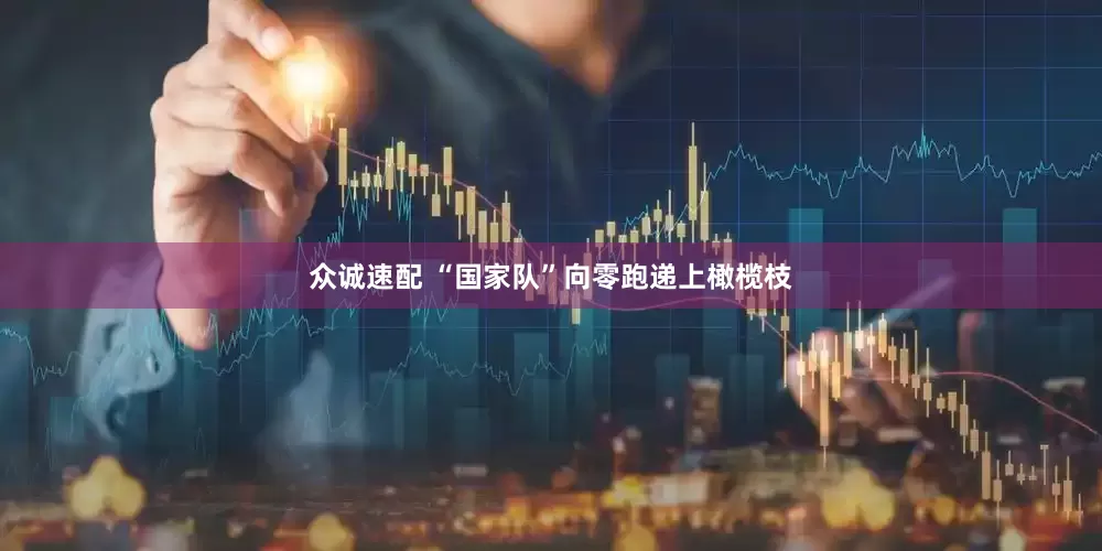 众诚速配 “国家队”向零跑递上橄榄枝